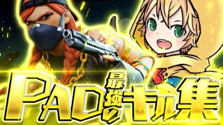 PAD最強の神キル集👑｜Minipiyo Highlight 13【フォートナイト/FORTNITE】