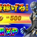 【最速レベル上げ無限XP】修正前に絶対やって欲しい最新クリエイティブマップ！【シーズン2】【フォートナイト】0618