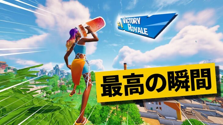 【最高の瞬間30選】ビクロイできるジュースがあるらしい…ｗ神業面白プレイ最高の瞬間！【Fortnite/フォートナイト】