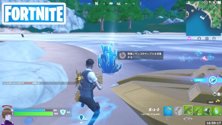 秘密の島の場所でサンゴのサンプルを収集する【フォートナイト Fortnite】