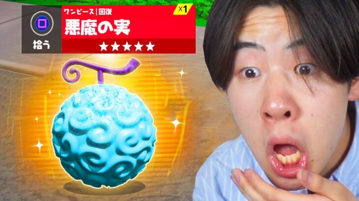 ワンピースの「悪魔の実」を見つけました…【フォートナイト / Fortnite】