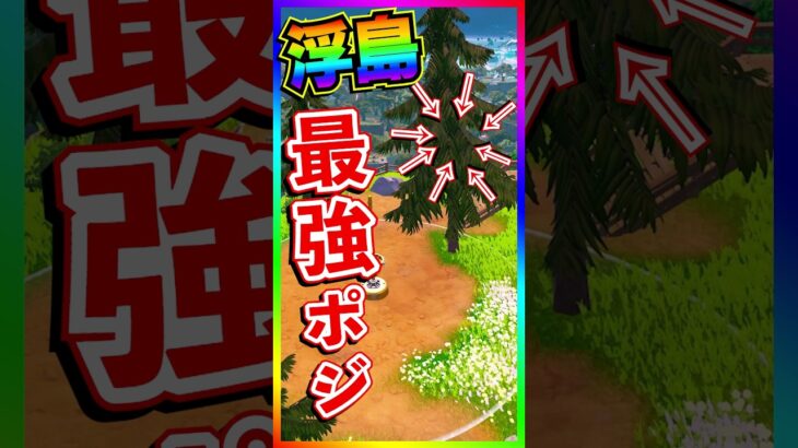 浮島の最強ポジ‼️ここに居たら絶対バレない🤣🤣【フォートナイト/fortnite】