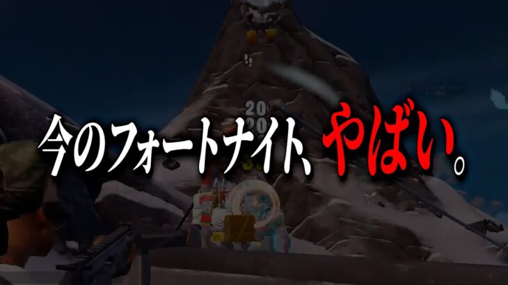 チート事情がやばすぎて、「終わってもおかしくない」とフォートナイトに警鐘を鳴らすネフライト【切り抜き/ネフライト/フォートナイト】