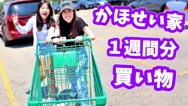 かほせい家 スーパーで1週間分の食品を買う🤔 何買うの？