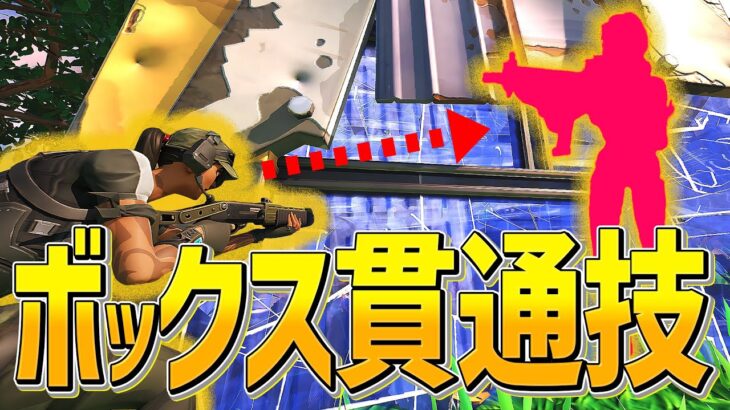 張り替え要らずのチート技!?壁の向こうから敵を倒すネフライトｗｗｗ【フォートナイト/Fortnite】