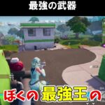 レバーショットガンが帰ってきた！！【フォートナイトfortnite】 #shorts