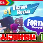 【初心者向け】フォートナイトとはこんなゲームです！ソロビクあり♪ 今更聞けないフォートナイト講座！ 親子でフォートナイト実況♪ Fortnite | まえちゃんねる