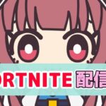 【フォートナイト/Fortnite】　勝利へ導く物は？　参加型配信　#113【雑談】【vtuber】