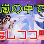 【Fortnite】嵐の中で回復しながら敵と戦うゼロビルド/ソロ攻略/マイクなし/バトルロイヤル/PS4【フォートナイト】