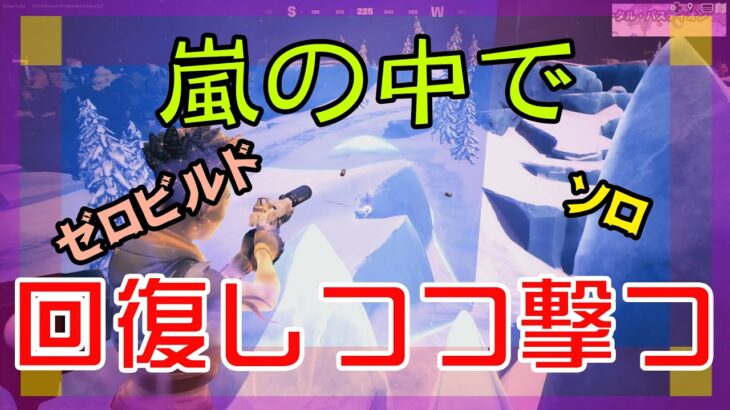 【Fortnite】嵐の中で回復しながら敵と戦うゼロビルド/ソロ攻略/マイクなし/バトルロイヤル/PS4【フォートナイト】