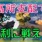 【Fortnite】高所支配で有利に戦えたゼロビルド/ソロ攻略/マイクなし/PS4【フォートナイト】