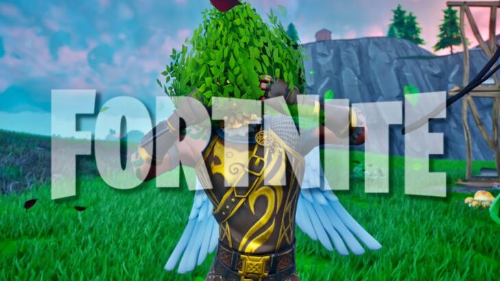 新人フォートナイト実況者です【Fortnite / フォートナイト】