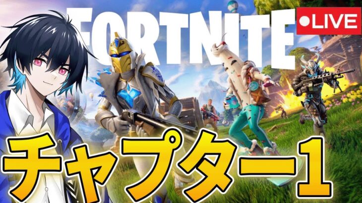 ソロランク【フォートナイト/Fortnite】