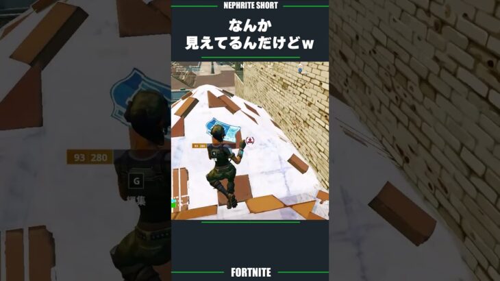 絶対にバレてないって信じてる人おるｗｗｗ【フォートナイト/Fortnite】 #フォートナイト #ネフライト  #fortnite