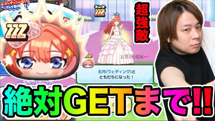 ぷにぷに「ZZZ五月(ウェディング)GETできるまで終われません!!」【妖怪ウォッチぷにぷに 】Yo-kai Watch part1576とーまゲーム