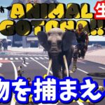 みんなで一緒に渋谷の街で動物を捕まえよう!!【生放送】【フォートナイト】