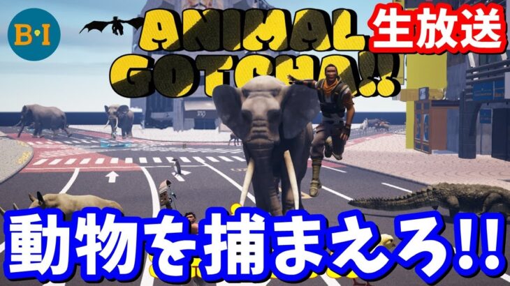 みんなで一緒に渋谷の街で動物を捕まえよう!!【生放送】【フォートナイト】