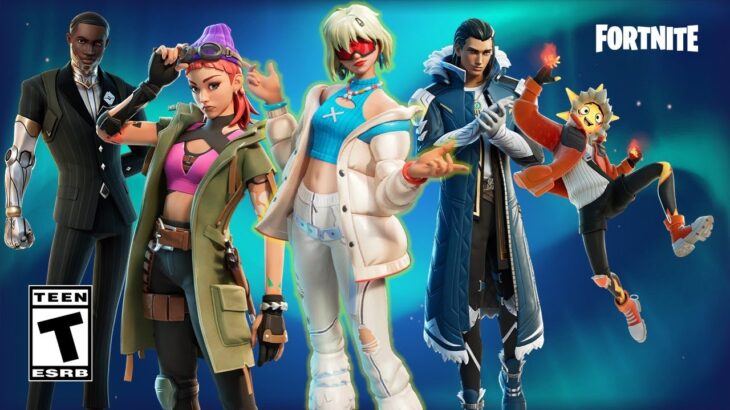 【フォートナイト】未販売のウィンターフェストスキン【Fortnite】 チャプター５シーズン１