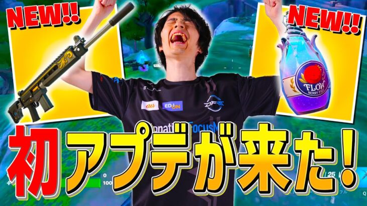 ついに新武器『エンフォーサーAR』新アイテム『フローベリーフィズ』が来た！！【フォートナイト/Fortnite】