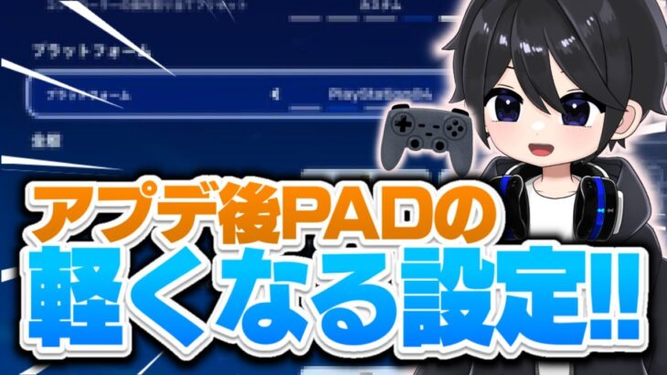 【遅延も激減】アプデ後の新しい設定やPADの神設定を紹介！【フォートナイト豆知識 解説 小技】