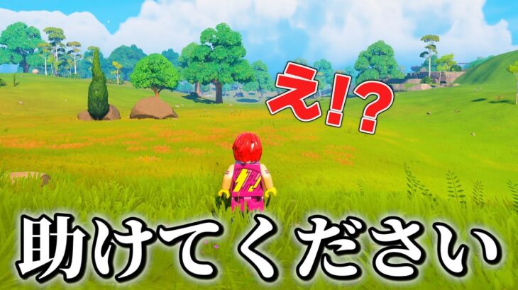 【超悲劇】とんでもない事件が起きました…🤯【フォートナイトxレゴ】