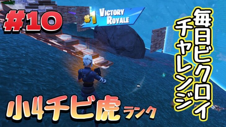 小4チビ虎の毎日ビクロイチャレンジ#10【フォートナイト/Fortnite】