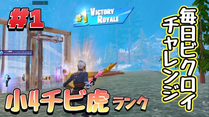 小4チビ虎の毎日ビクロイチャレンジ#1【フォートナイト/Fortnite】