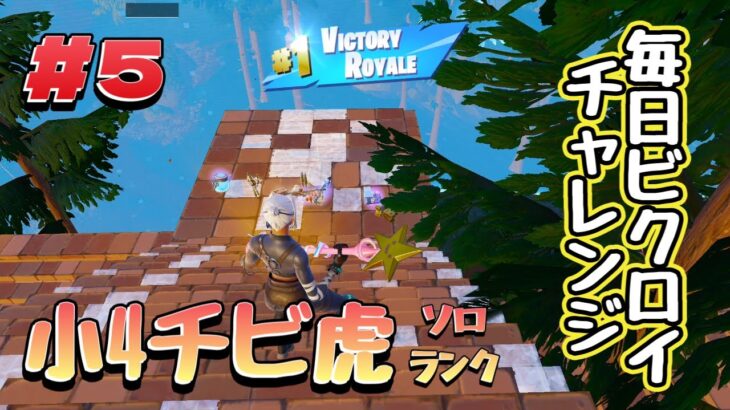 小4チビ虎の毎日ビクロイチャレンジ#5【フォートナイト/Fortnite】