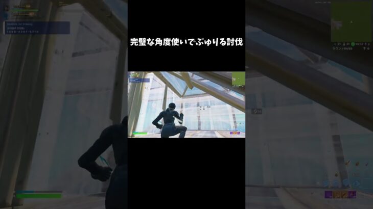 完璧な角度使いでぶゅりる討伐【フォートナイト/FORTNITE】