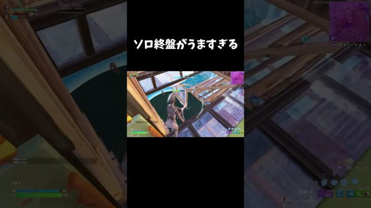 ソロ終盤がうますぎる【フォートナイト/FORTNITE】