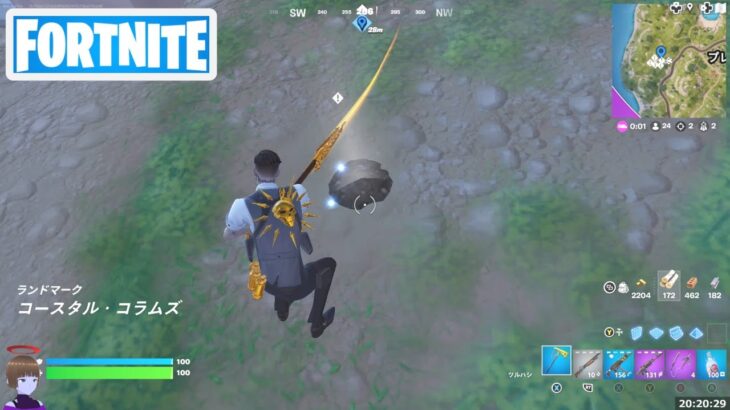 コースタル コラムズの周辺でモザイク画の欠片を掘り起こす【フォートナイト Fortnite】