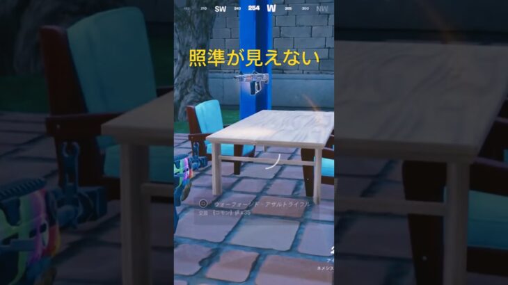 アサルトの照準ってみえる？！！#ゲーム実況 #ゼロビルド #Fortnite #フォートナイト