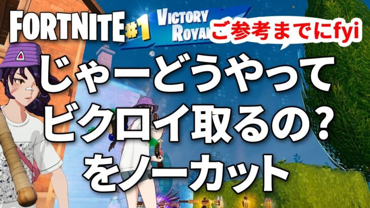 【ゼロビルド】初心者向け ノーカットでビクロイ取るまでの立ち回り【フォートナイト／Fortnite】