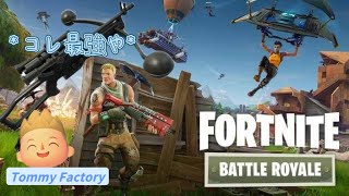 ビクロイ目指す！FORTNIGHT【フォートナイト】バトルロイヤル・ソロ【Switch版】必ずビクロイします