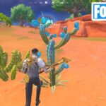 スラープサボテンで体力を回復するかシールドを獲得する【フォートナイト Fortnite ウィーク1】