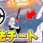 海外プロも使ってるクロスヘアを表示する外部ツール使ってみたｗｗｗ【フォートナイト/Fortnite】