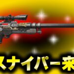 新武器来た！ヘビーインパクトスナイパーライフル！リロードは夜中！ソロ配信。ライブ実況者【フォートナイト/Fortnite】