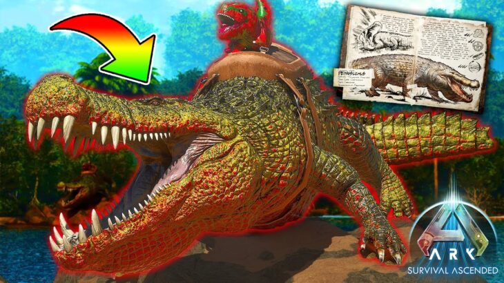 【超巨大！】人喰いワニをテイムしろ！🩸🐊🩸*新生物デイノスクス*【新ARK SURVIVAL ASCENDED/アーク/ASA】#17