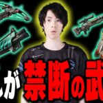 競技では使えない『禁断の武器』だけ持ったら本当にヤバすぎた・・・。【フォートナイト/Fortnite】