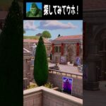 【07/31】見つけられたらすごい！てらごりをさがせ part１ #fortnite #フォートナイト  #shorts #かくれんぼ