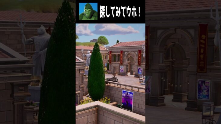 【07/31】見つけられたらすごい！てらごりをさがせ part１ #fortnite #フォートナイト  #shorts #かくれんぼ