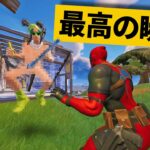 【最高の瞬間30選】こんなスキンあって大丈夫なの？ｗｗｗ神業面白プレイ最高の瞬間！【Fortnite/フォートナイト】