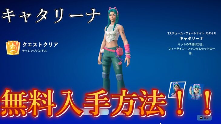 【裏技】ほぼだれでも無料でスキンなどをゲットする方法！！【フォートナイト/Fortnite】