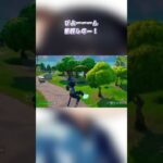 草に隠れて撃つのやめてくれ〜笑笑#fortnite #フォトナキル集