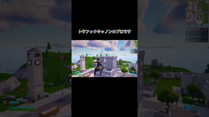 毎日投稿13日目 #フォトナキル集 #fortnite #トリックショット #フォトナ #だれwwキル集 #fortniteclips #フォートナイト #clips