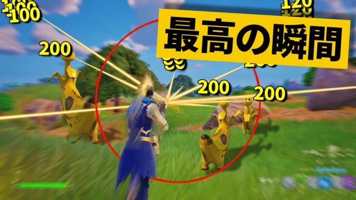 【最高の瞬間30選】高速移動しながら全弾当ててくる最強チーターｗｗｗ神業面白プレイ最高の瞬間！【Fortnite/フォートナイト】