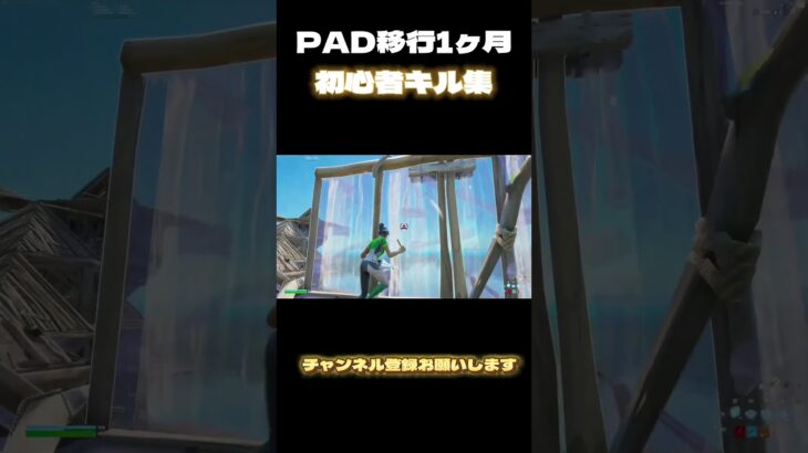 PAD移行1ヶ月記念キル集 #ps5 #フォートナイト #フォトナ #フォトナキル集 #fortniteclips #fortnite #キル集 #shorts