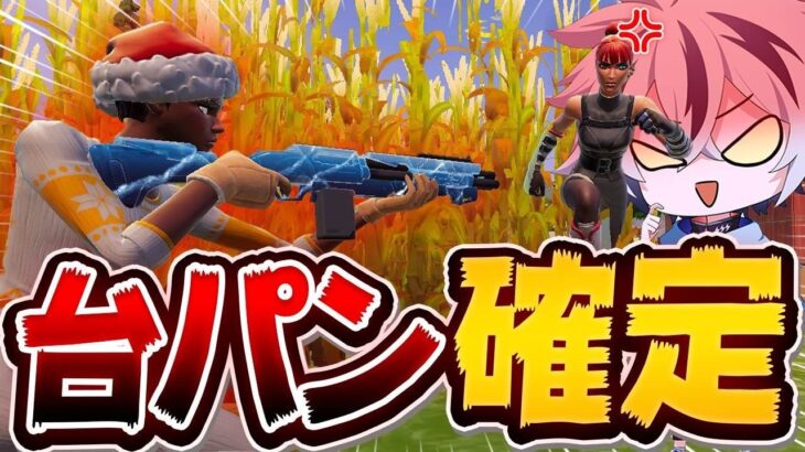 【ブチギレ確定】100％勝てるけど、絶対に嫌われる戦い方がこちらｗ【フォートナイト/FORTNITE】