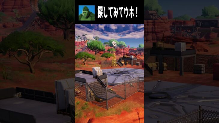 【10/15】見つけられたらすごい！てらごりをさがせ part２ #fortnite #フォートナイト  #shorts #かくれんぼ