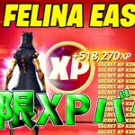 【最速レベル上げ無限XP】無料スキンを最速で入手したい人必見！簡単に50レベアップ！【フォートナイト】